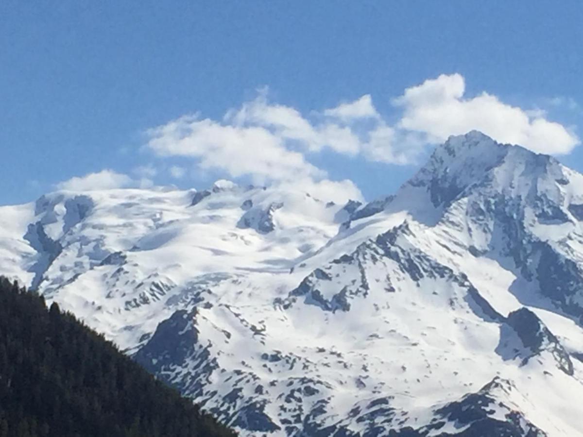 Le Petit Saint Bernard Chalet