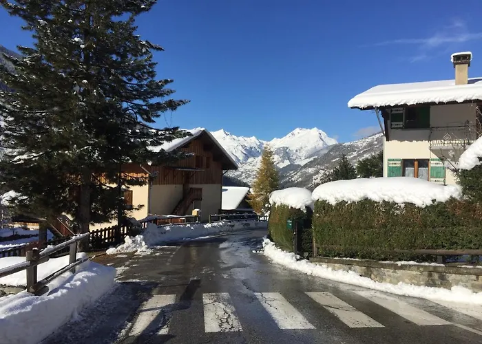 Le petit Saint Bernard