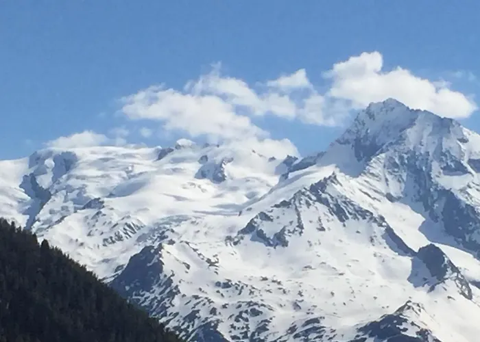 Le Petit Saint Bernard